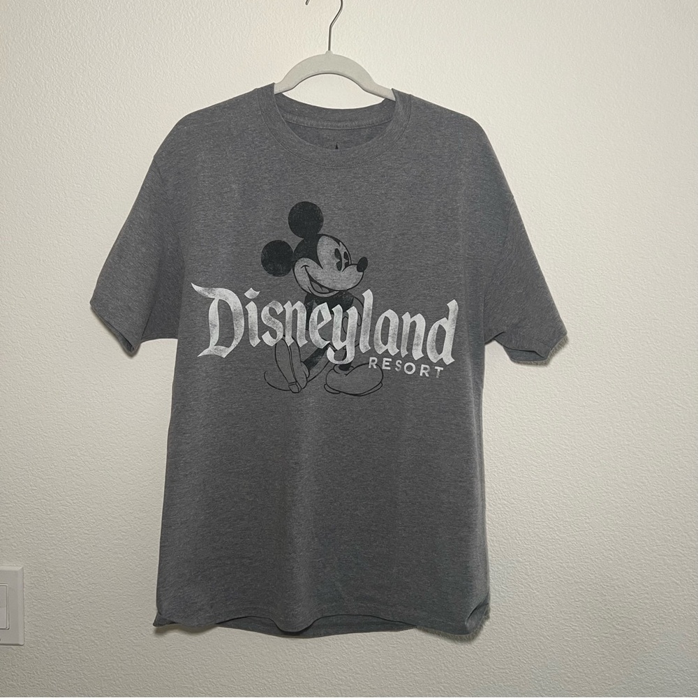 Hanes Disney Parks Gray T-Shirt